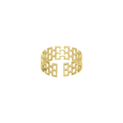 Bague Canisse acier doré or