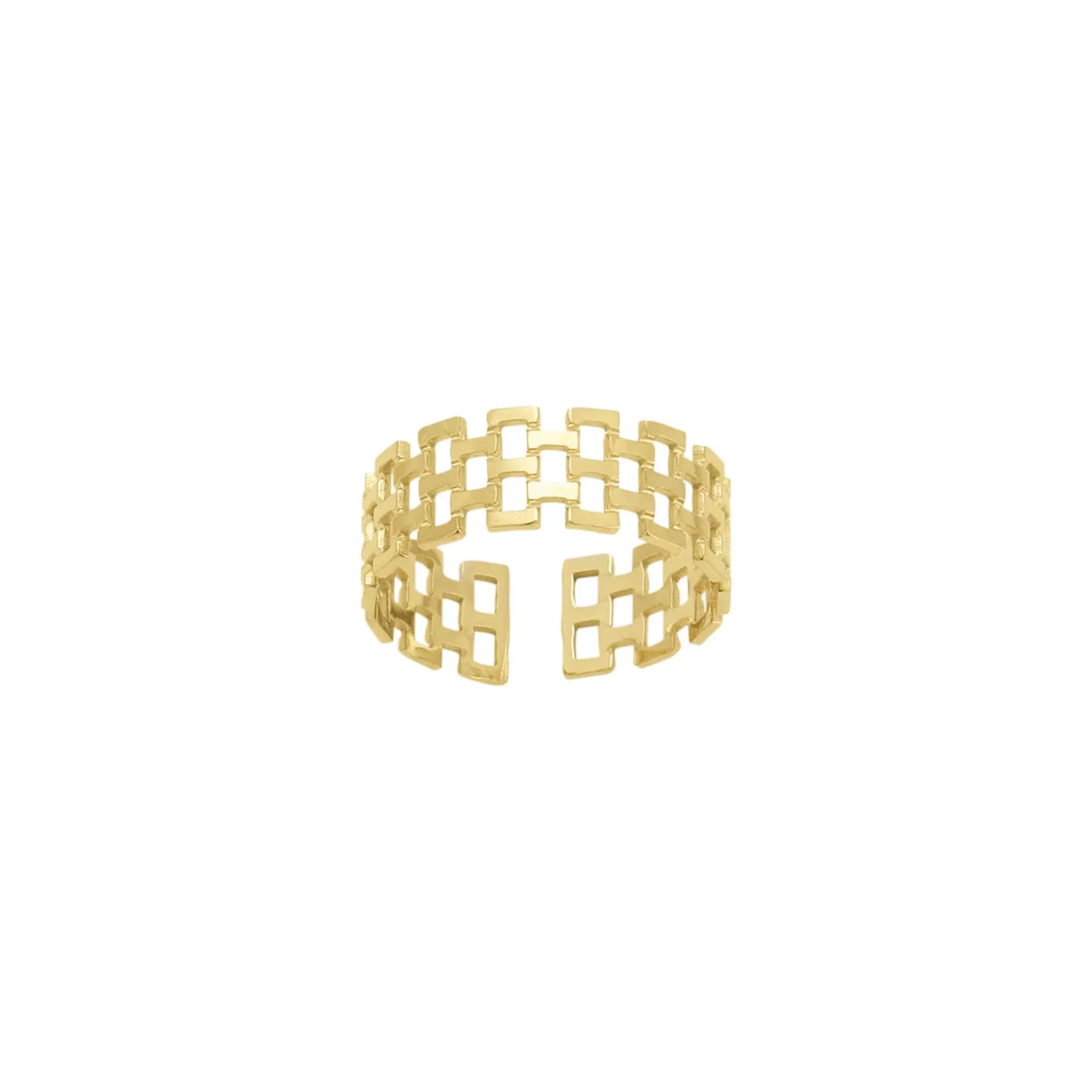 Bague Canisse acier doré or