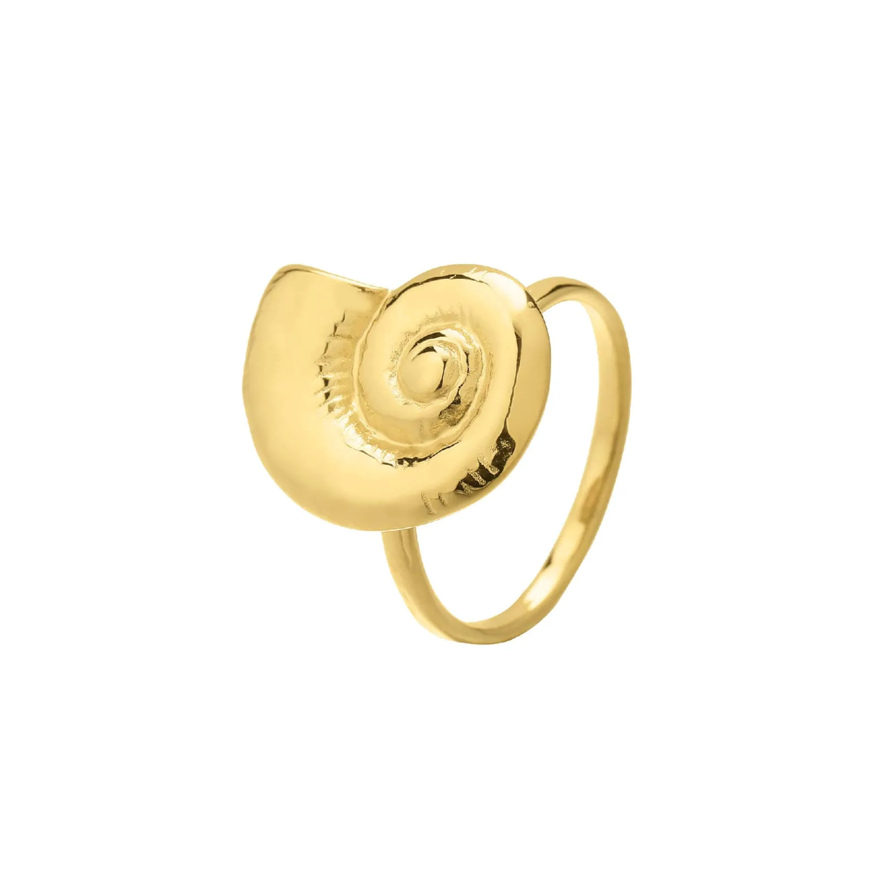 Bague Galapagos acier doré or
