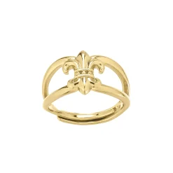 Bague Isabella acier doré or