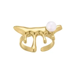 Bague Zébulon acier doré or