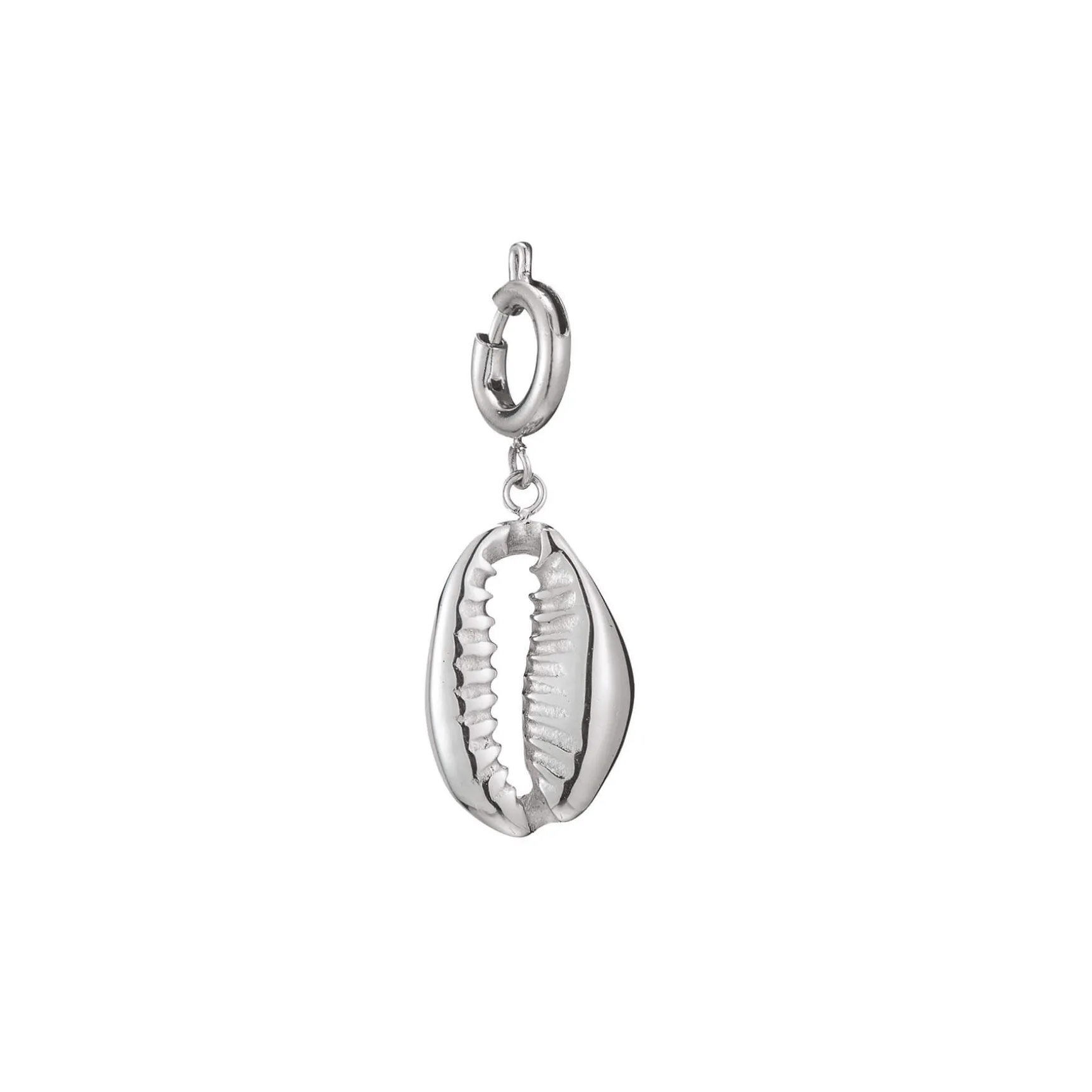 Charm acier Cauri coquillage
