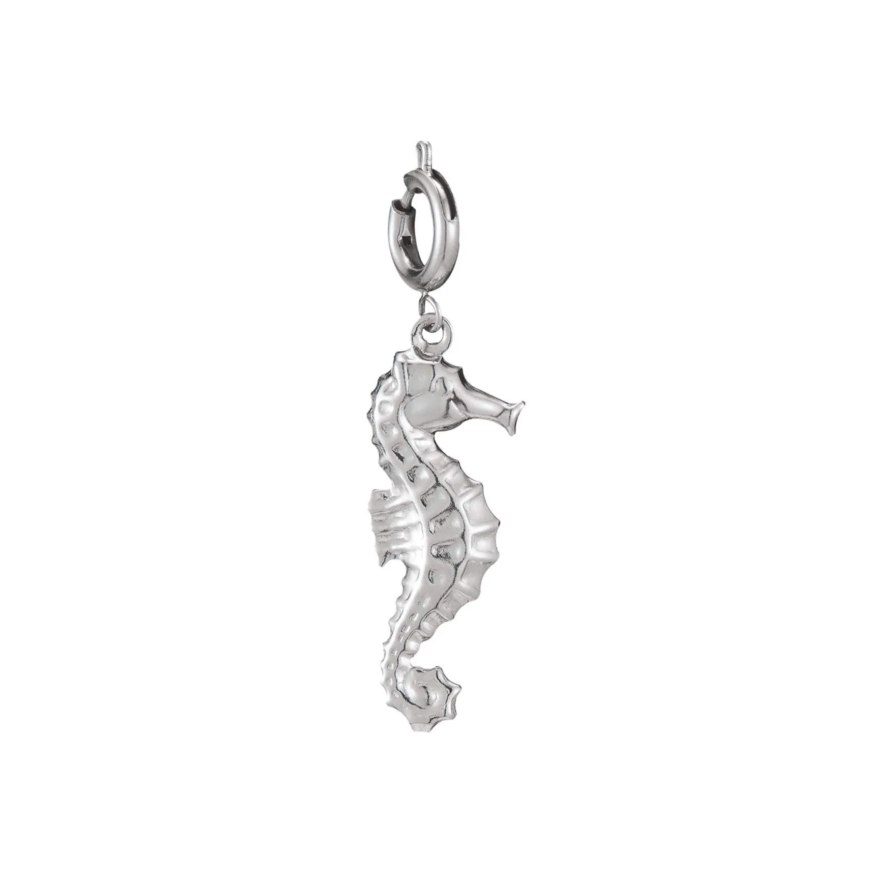 Charm acier Hypocampe