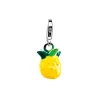 Charm Ananas