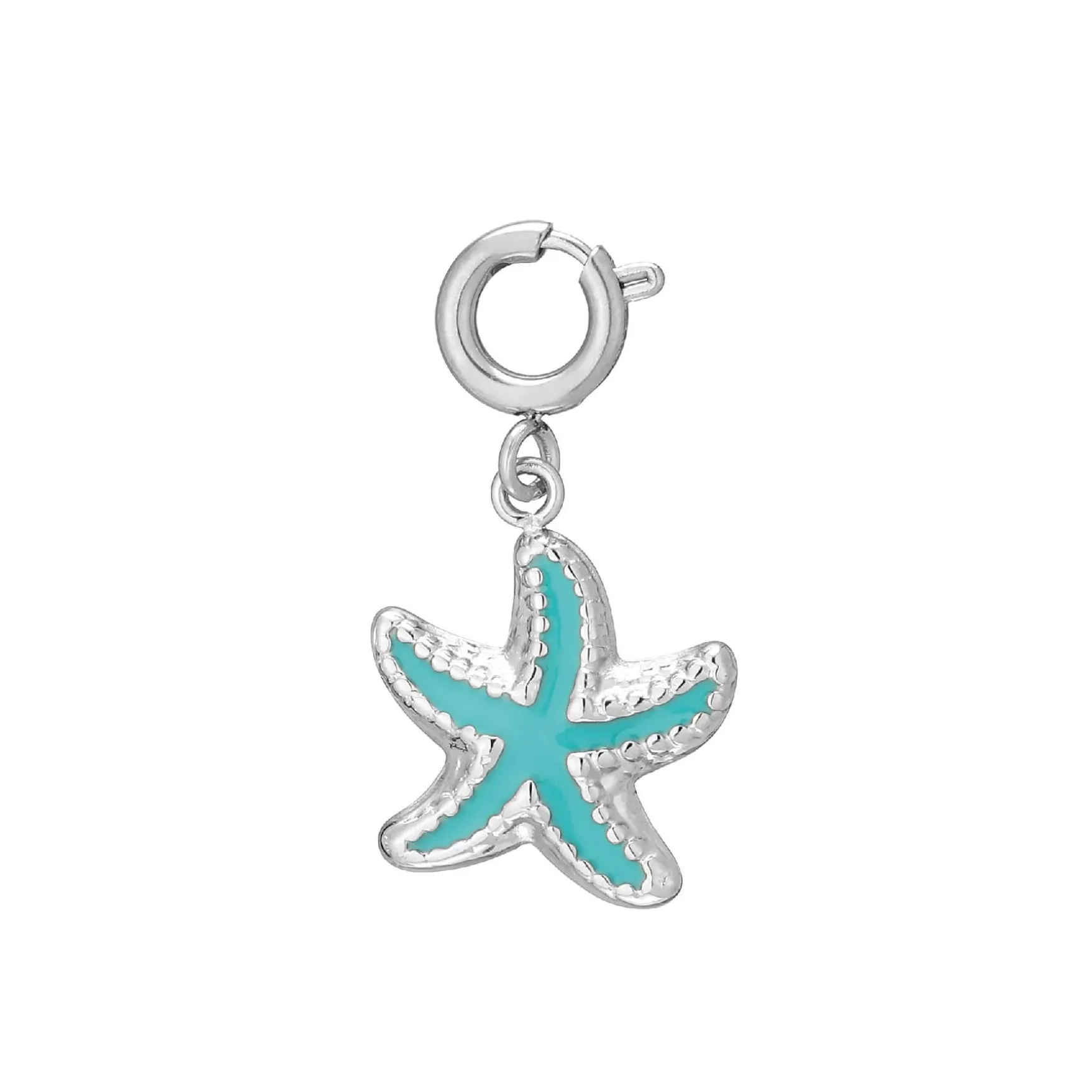 Charm Etoile de mer acier argenté