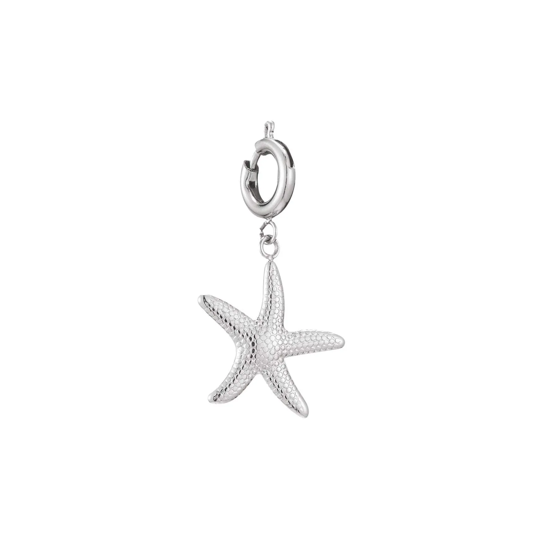 Charm Etoile de mer acier