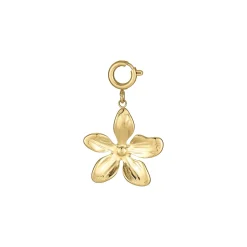 Charm Floria acier doré or