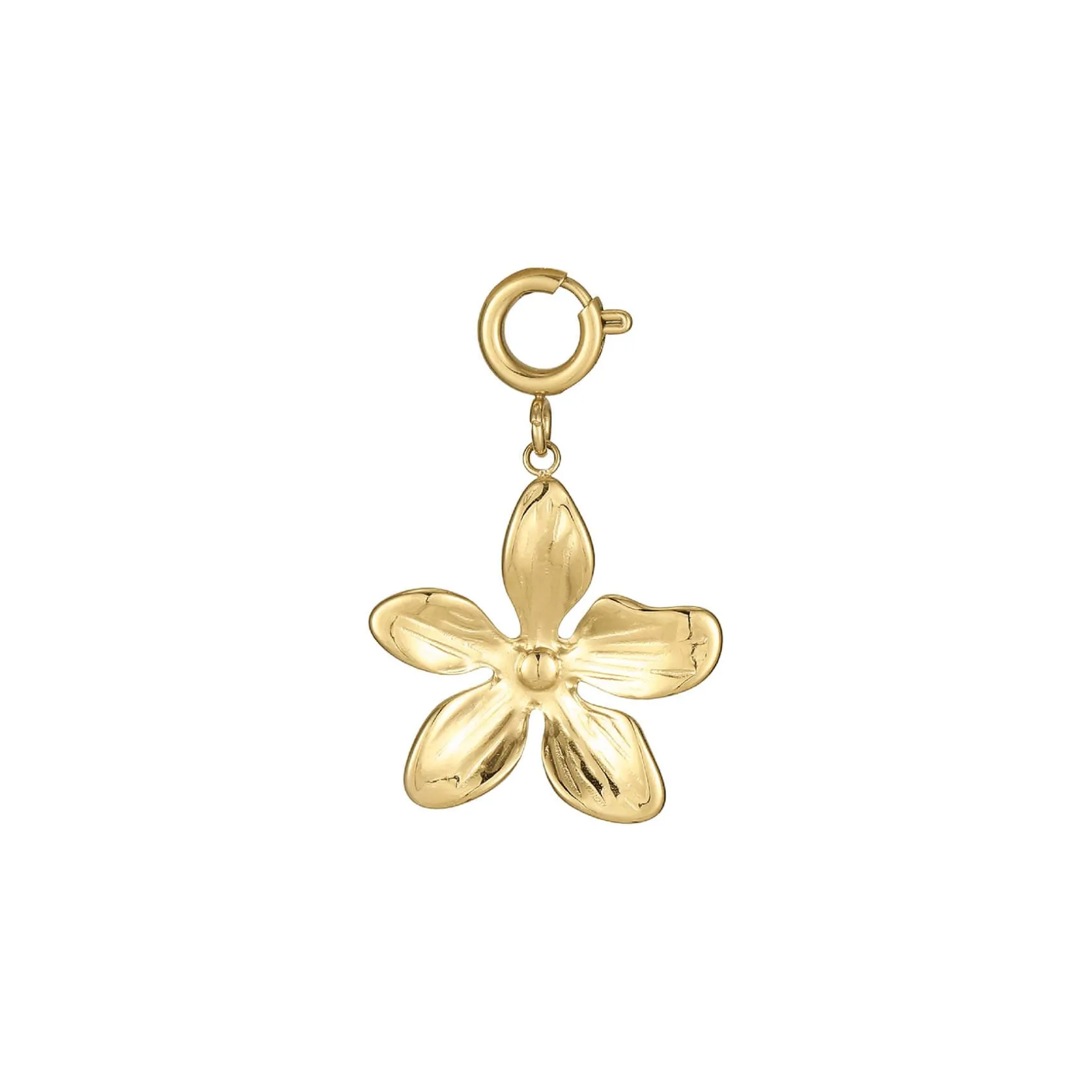 Charm Floria acier doré or
