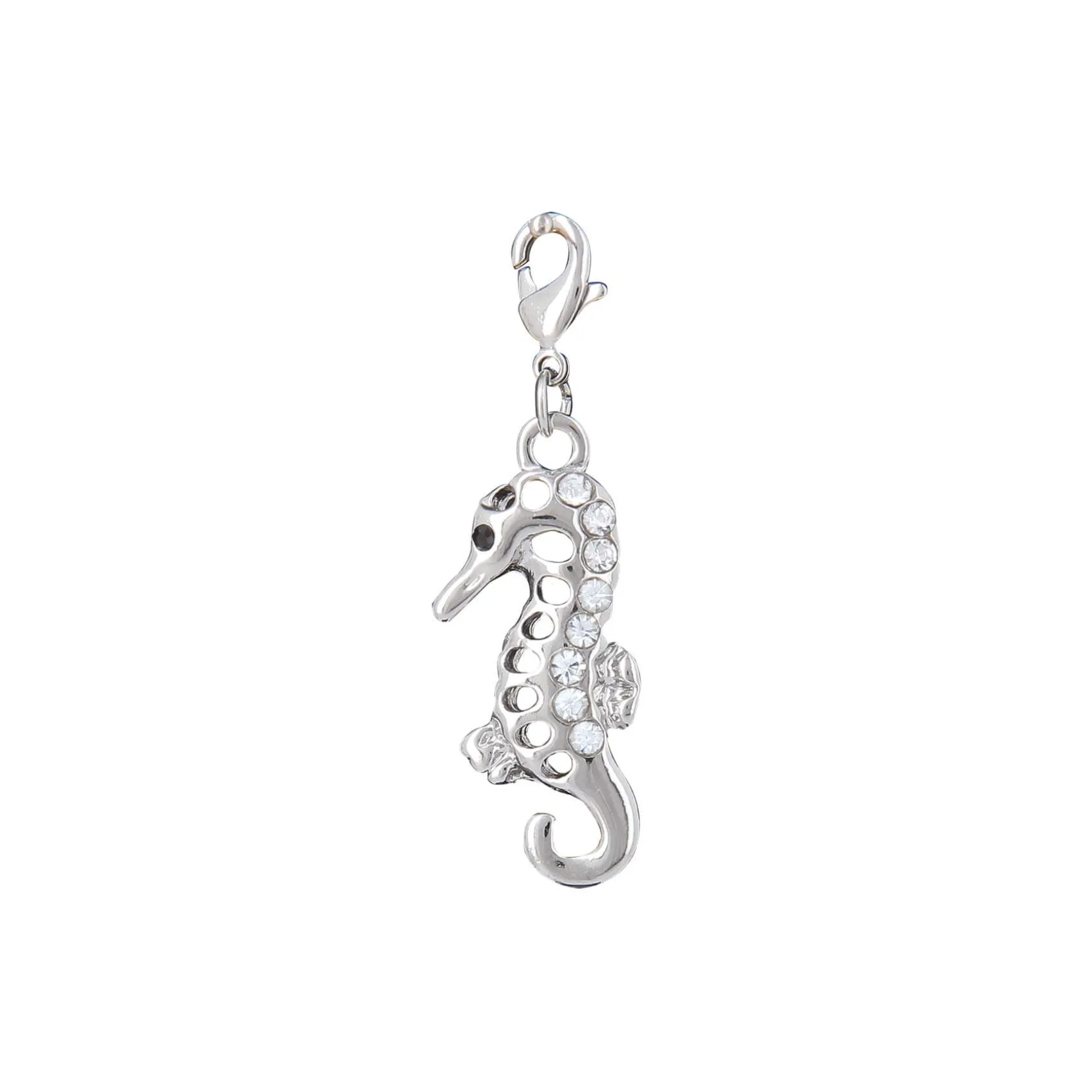 Charm Hippocampe