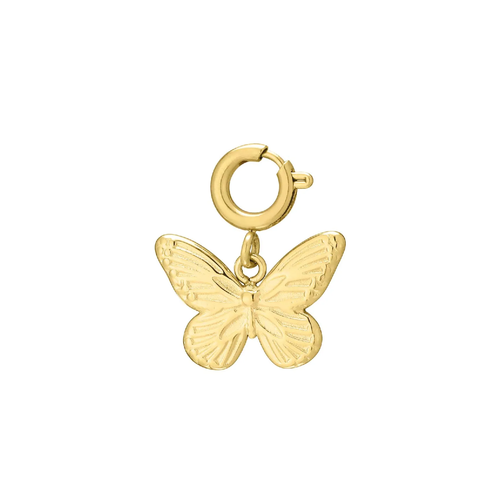 Charm Papillon acier doré or
