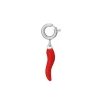 Charm piment acier argenté