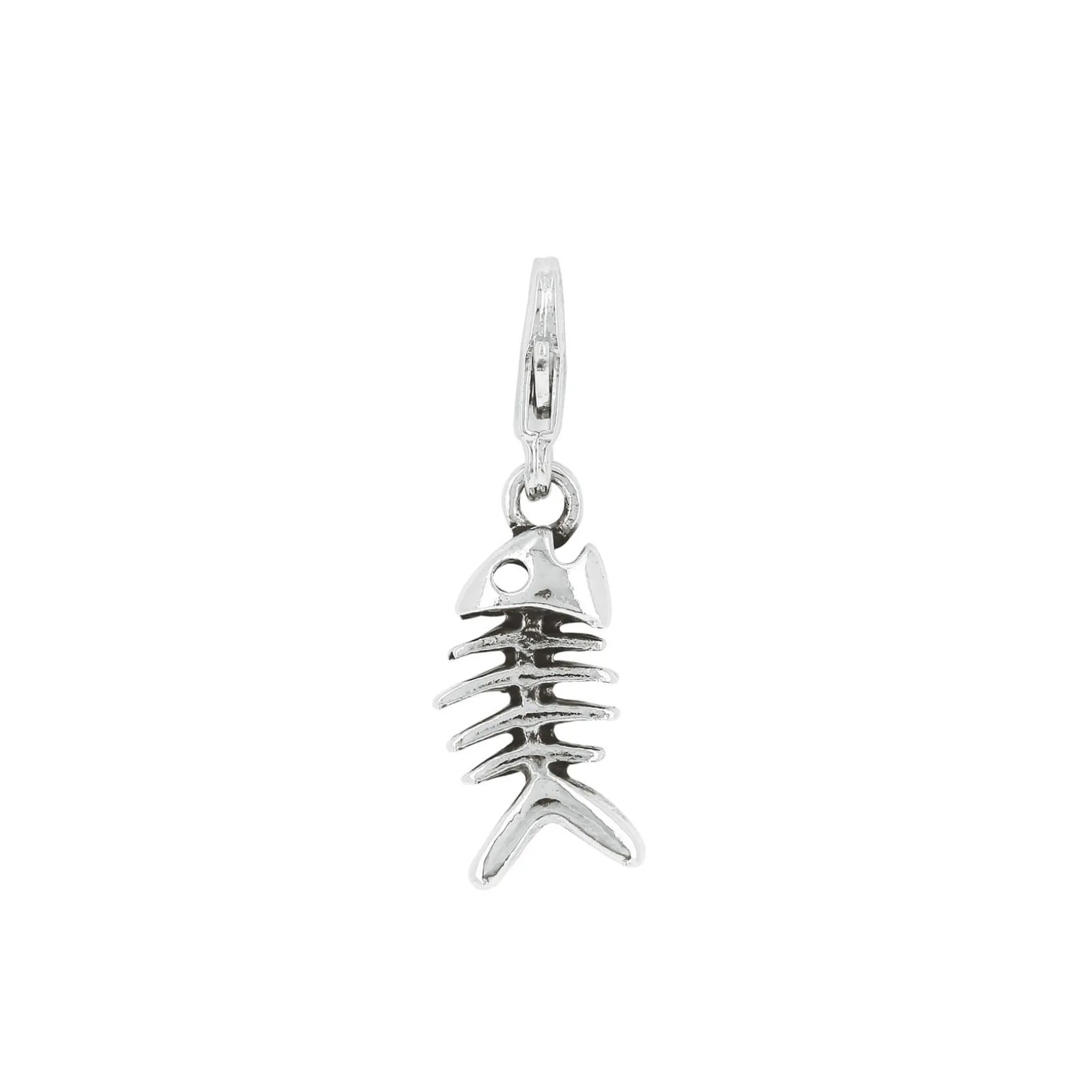 Charm Sardine 2