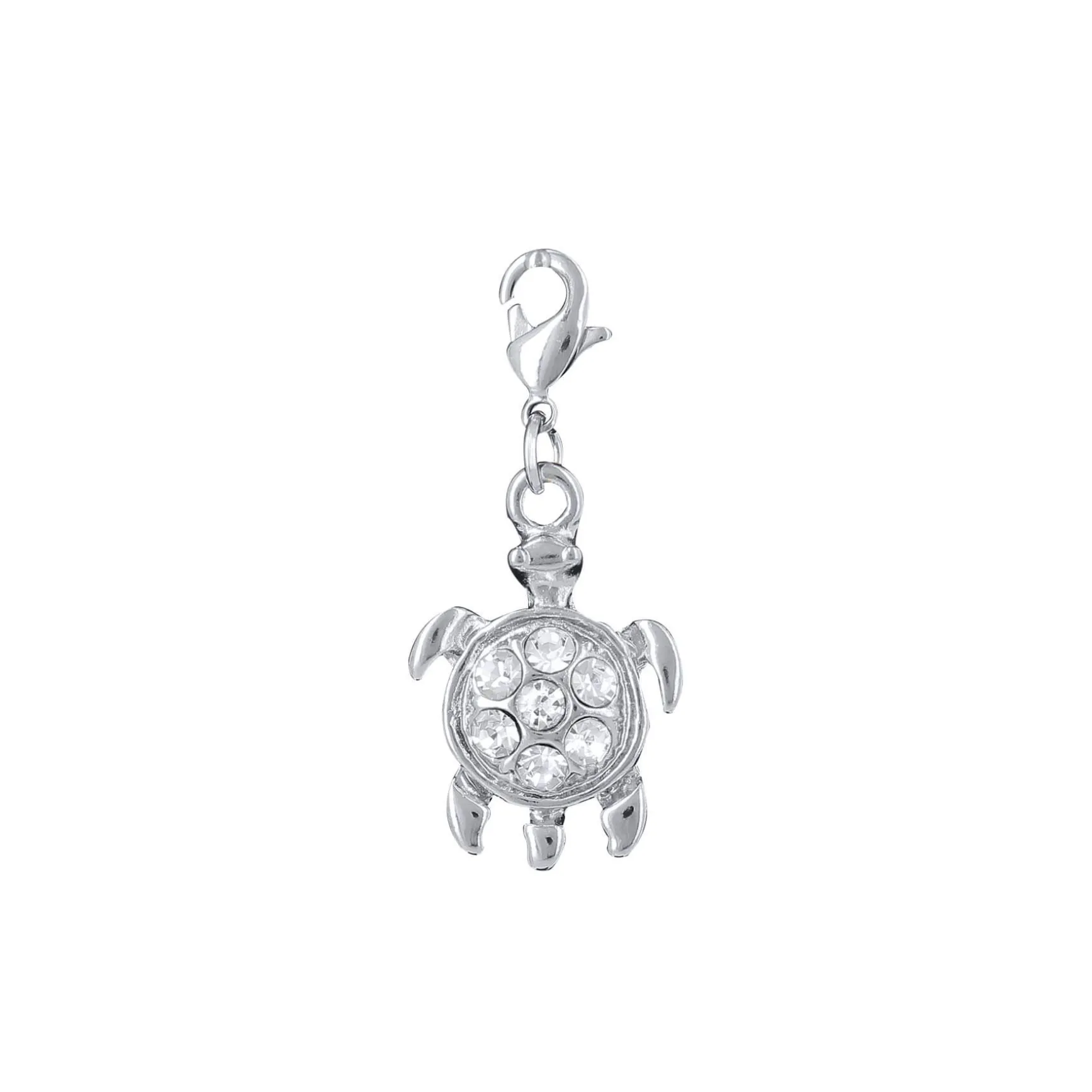 Charm Tortue