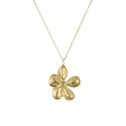 Collier Florine acier doré or