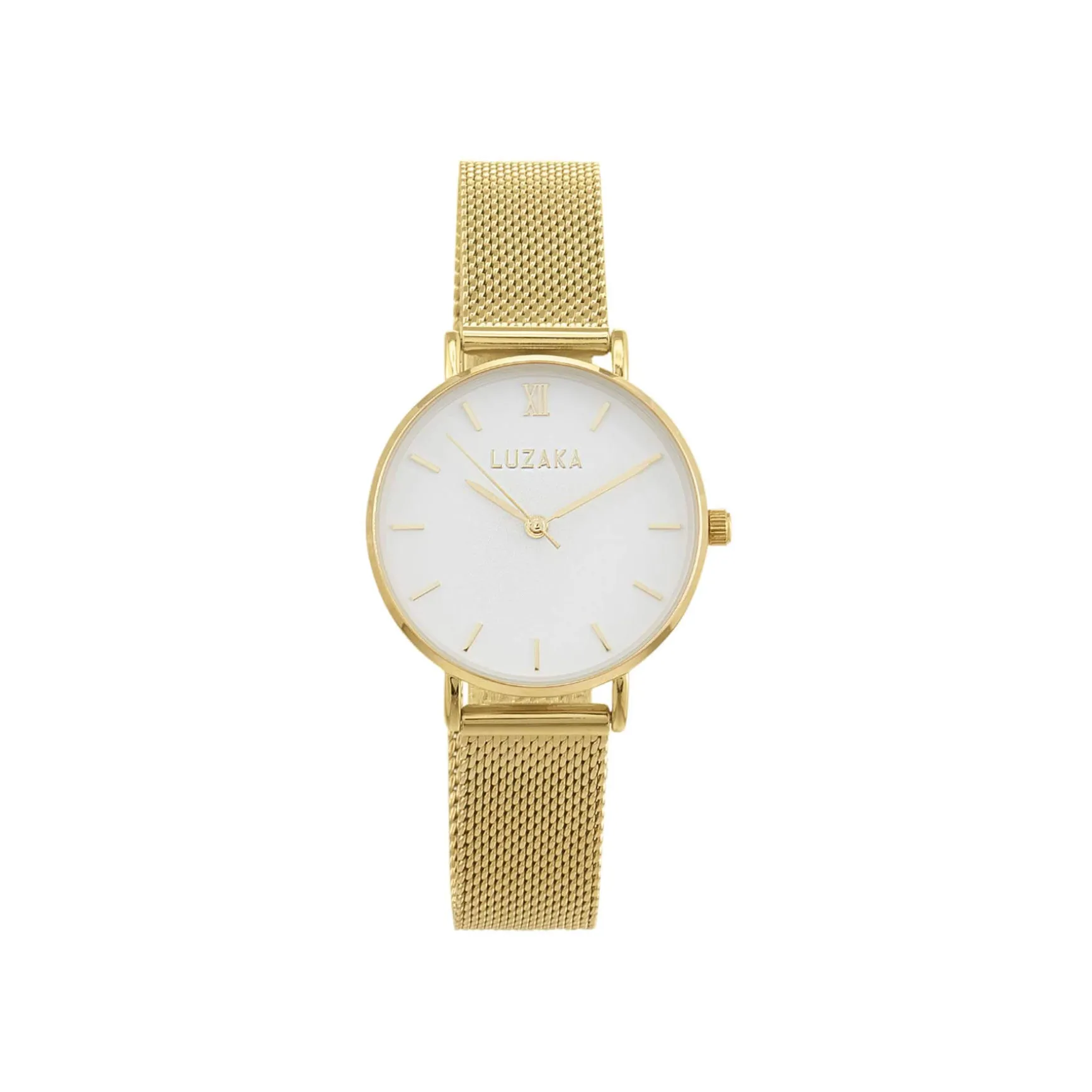 Montre Paloma acier dorée or